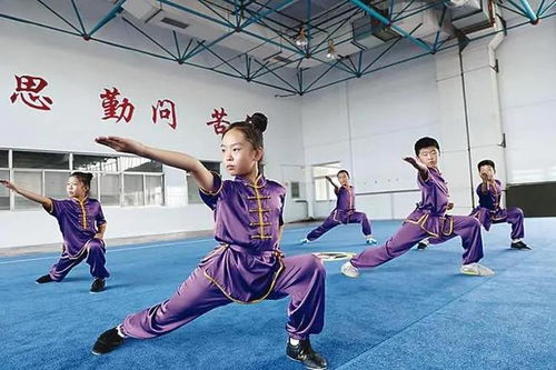 燕赵武脉 从古老战场淬炼出的实用武术传奇