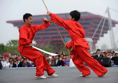 散打与武术的本质区别 从实战技击到文化与哲学的升华
