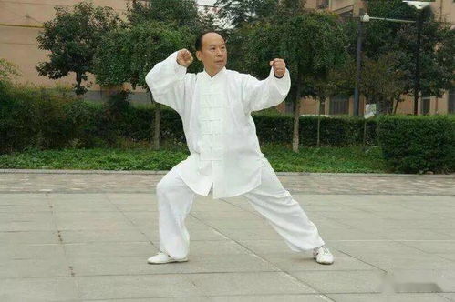 荣耀之光，致敬太极传承人李海水