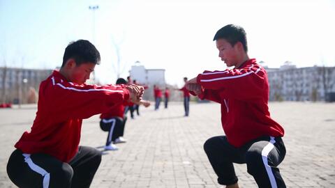 武术练习时做抡臂动作要注意什么,听大师师兄详细讲解