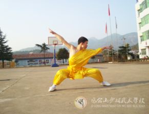 武术拍照姿势指南 经典而不凡之姿