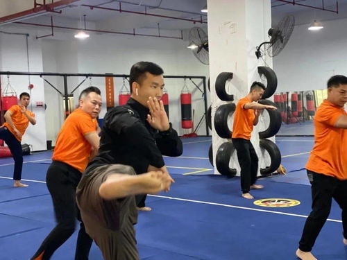2020年广东省咏春拳武术段位考评员认证培训班在华体武术训练基地正式开班
